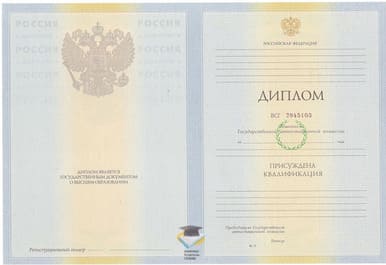 Диплом ВСГИК 2010-2011 годов